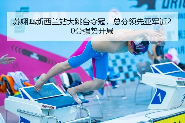 su-yi-ming-xin-xi-lan-zhan-da-tiao-tai-duo-guan-zong-fen-ling-xian-ya-jun-jin-fen-qiang-shi-kai-ju-2-961.jpg