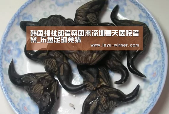 乐鱼电竞